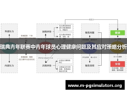 瑞典青年联赛中青年球员心理健康问题及其应对策略分析