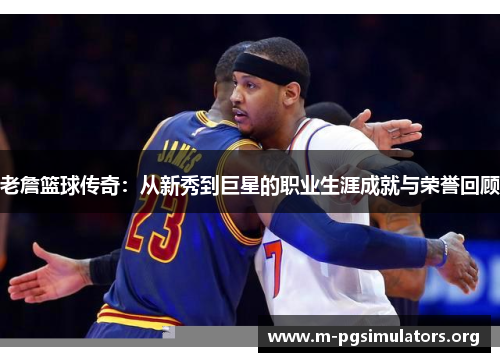 老詹篮球传奇：从新秀到巨星的职业生涯成就与荣誉回顾