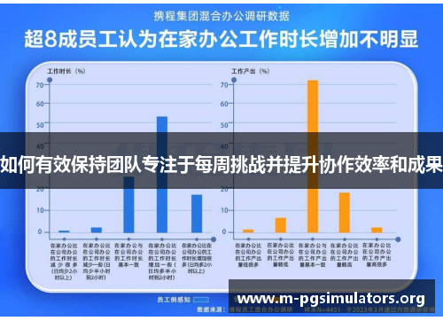 如何有效保持团队专注于每周挑战并提升协作效率和成果
