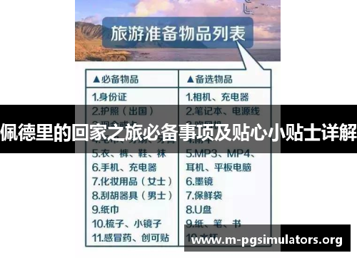 佩德里的回家之旅必备事项及贴心小贴士详解