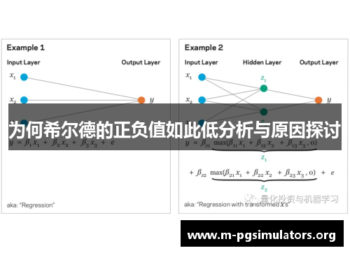 为何希尔德的正负值如此低分析与原因探讨