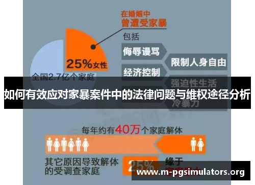 如何有效应对家暴案件中的法律问题与维权途径分析