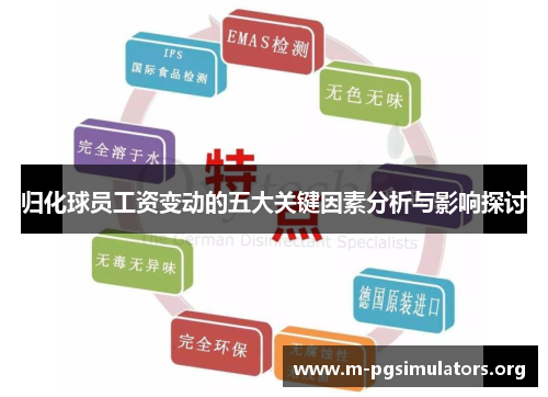 归化球员工资变动的五大关键因素分析与影响探讨