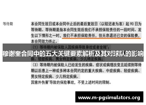 穆谢奎合同中的五大关键要素解析及其对球队的影响