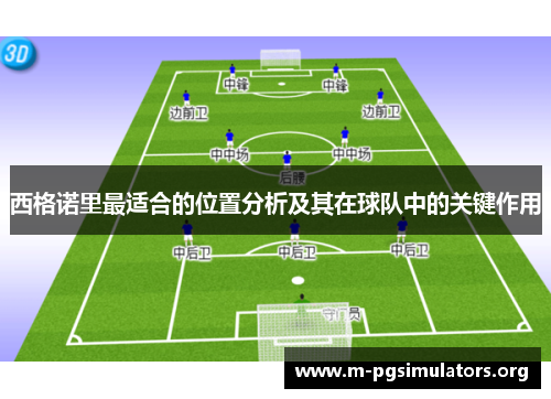 西格诺里最适合的位置分析及其在球队中的关键作用