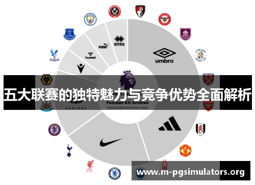 五大联赛的独特魅力与竞争优势全面解析